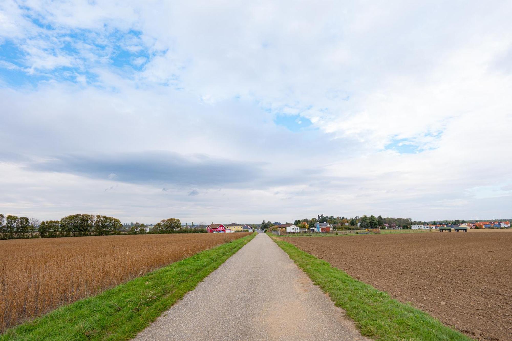 Villa Rose Close To Vienna & Airport Maria Ellend ภายนอก รูปภาพ